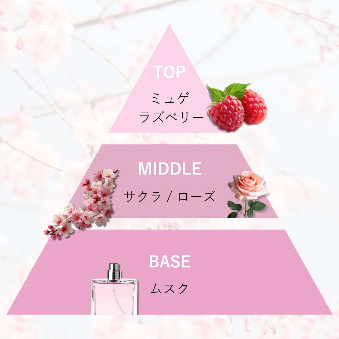 SAKURA/200mlセット