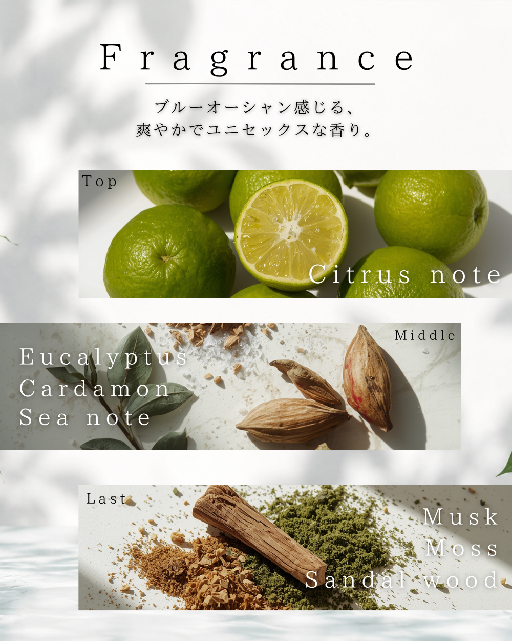 ジェネシス