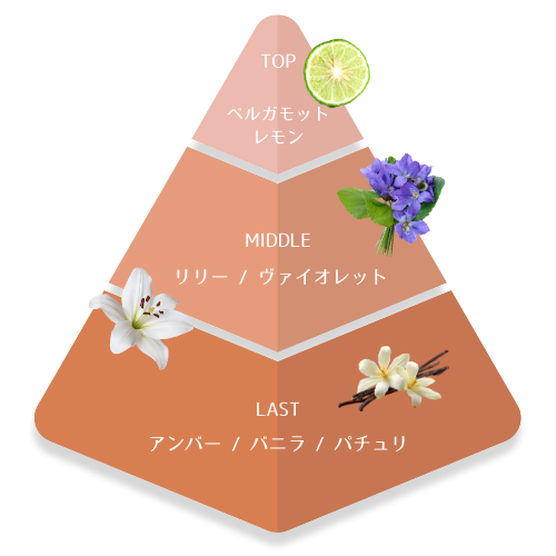 香りのピラミッド