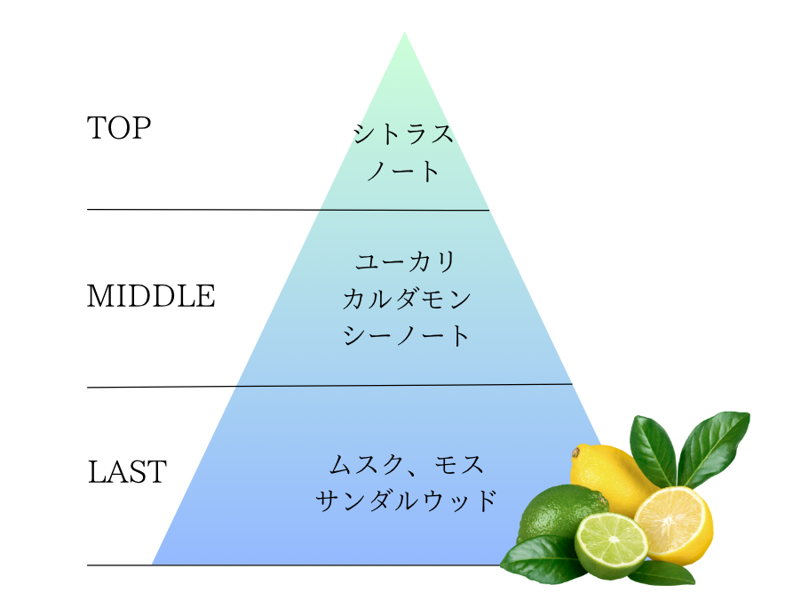 香りピラミッド