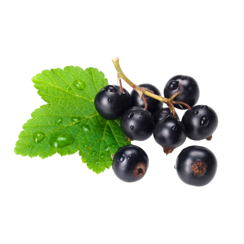 ラクシュミーの香り イメージ カシス（シャンプー）