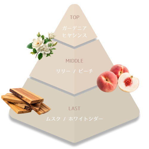 香りのピラミッド
