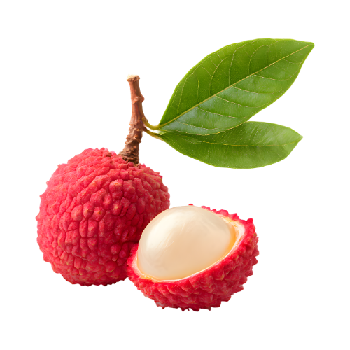 ロエールの香り イメージ ライチ（シャンプー）