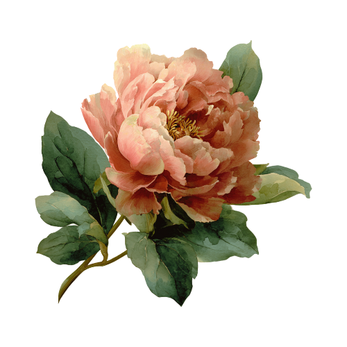 ロエールの香り イメージ ピオニー（シャンプー）