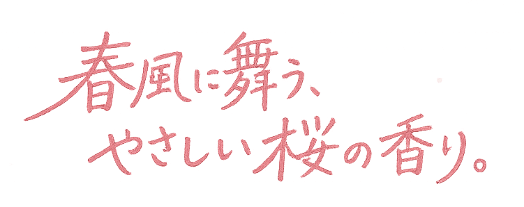 春限定SAKURAの香り
