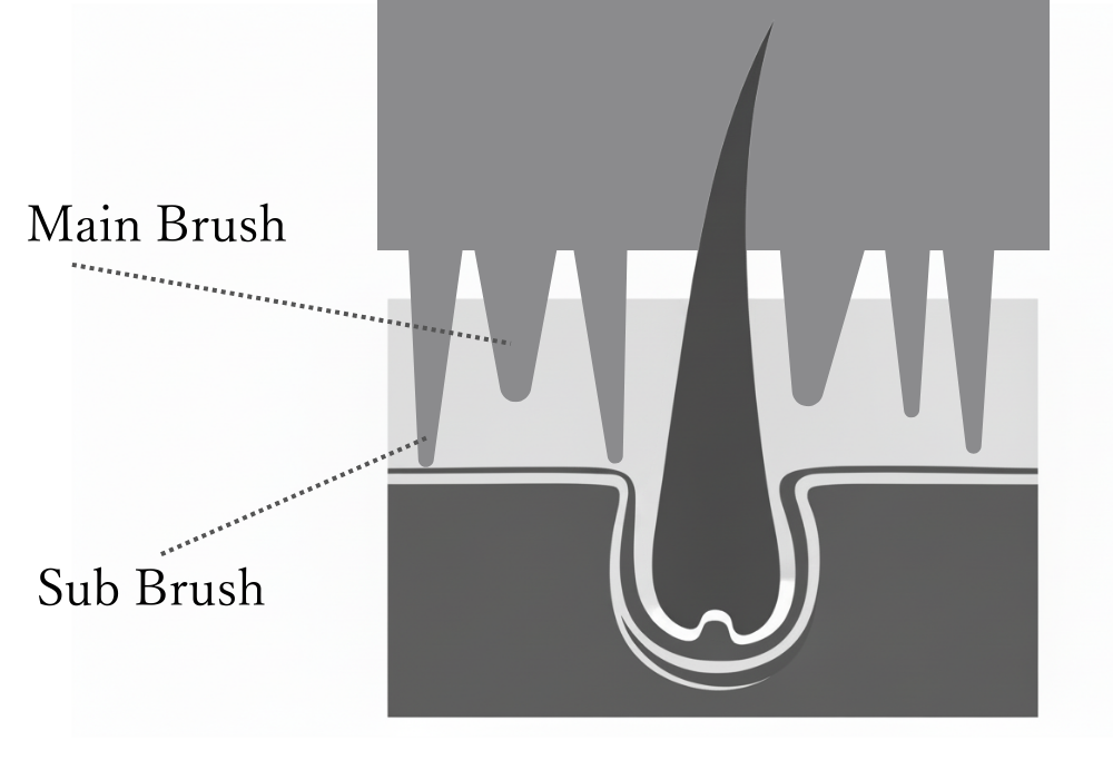 2種類のブラシ構造イメージ