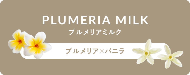 PLUMERIA MILK